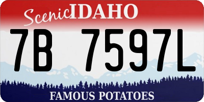 ID license plate 7B7597L