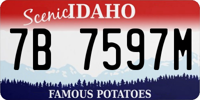 ID license plate 7B7597M