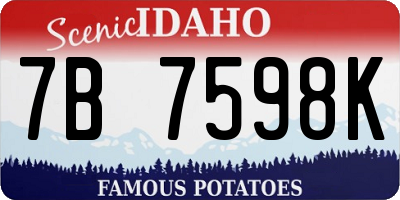 ID license plate 7B7598K