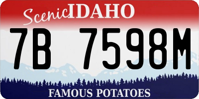 ID license plate 7B7598M