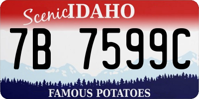 ID license plate 7B7599C