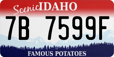 ID license plate 7B7599F