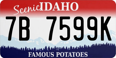ID license plate 7B7599K
