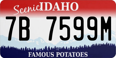 ID license plate 7B7599M