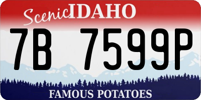 ID license plate 7B7599P