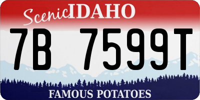 ID license plate 7B7599T