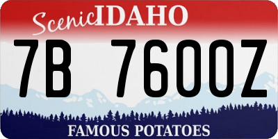 ID license plate 7B7600Z