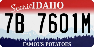 ID license plate 7B7601M