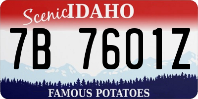 ID license plate 7B7601Z