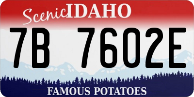 ID license plate 7B7602E