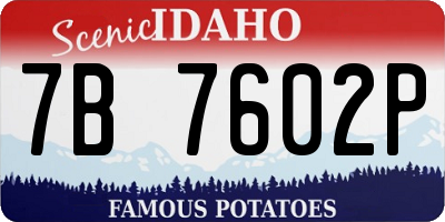 ID license plate 7B7602P