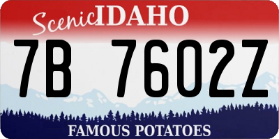ID license plate 7B7602Z
