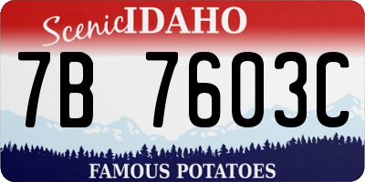ID license plate 7B7603C