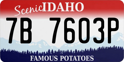 ID license plate 7B7603P