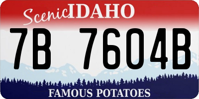 ID license plate 7B7604B