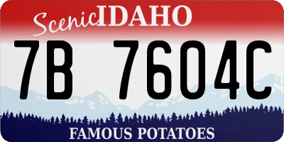 ID license plate 7B7604C