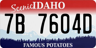 ID license plate 7B7604D