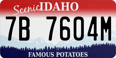 ID license plate 7B7604M