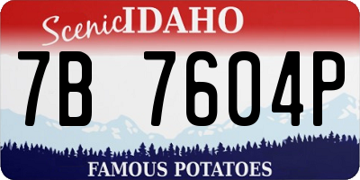 ID license plate 7B7604P