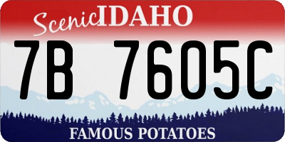 ID license plate 7B7605C