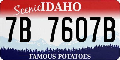 ID license plate 7B7607B