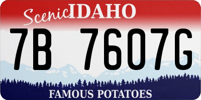 ID license plate 7B7607G