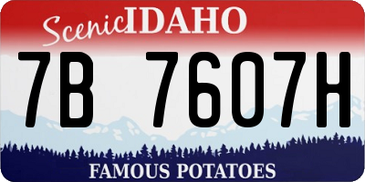 ID license plate 7B7607H