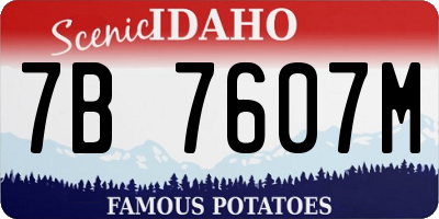 ID license plate 7B7607M