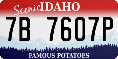 ID license plate 7B7607P