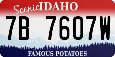 ID license plate 7B7607W