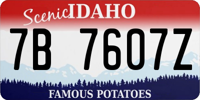 ID license plate 7B7607Z