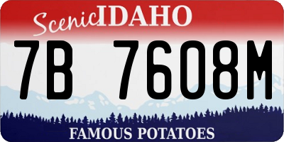 ID license plate 7B7608M
