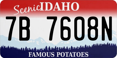 ID license plate 7B7608N