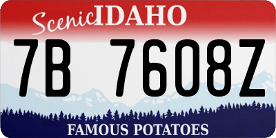ID license plate 7B7608Z