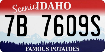 ID license plate 7B7609S