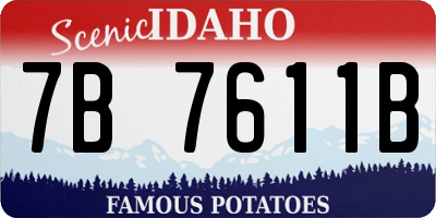 ID license plate 7B7611B