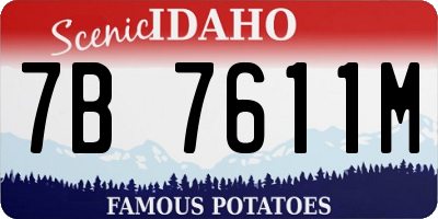 ID license plate 7B7611M