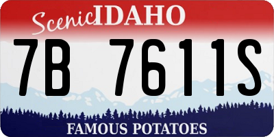 ID license plate 7B7611S