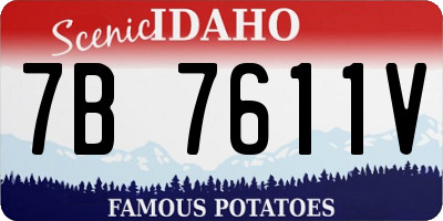 ID license plate 7B7611V