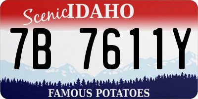 ID license plate 7B7611Y