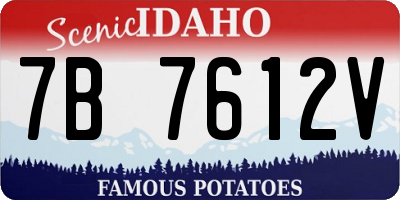 ID license plate 7B7612V