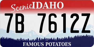 ID license plate 7B7612Z