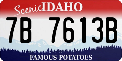 ID license plate 7B7613B