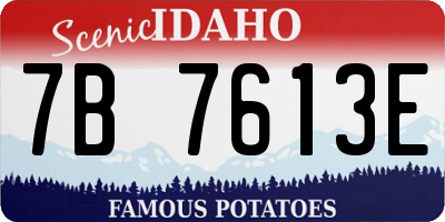 ID license plate 7B7613E