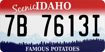 ID license plate 7B7613I