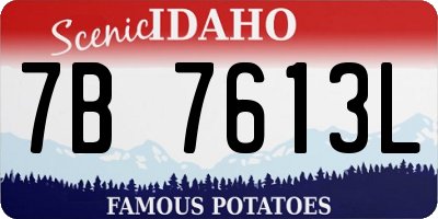 ID license plate 7B7613L