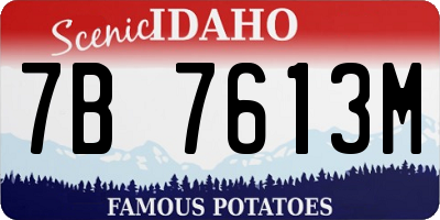 ID license plate 7B7613M