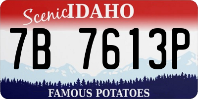 ID license plate 7B7613P