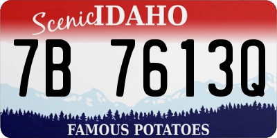 ID license plate 7B7613Q