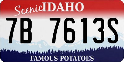 ID license plate 7B7613S